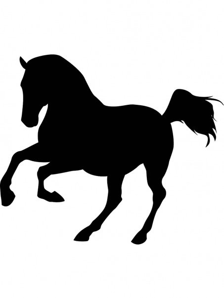 лошадь с всадником