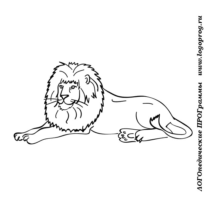 Лев и собака раскраска