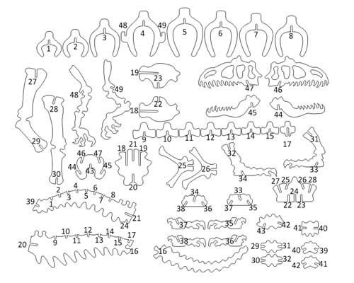Динозавр из фанеры чертежи