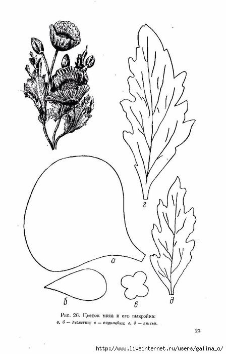 Выкройки цветов мака