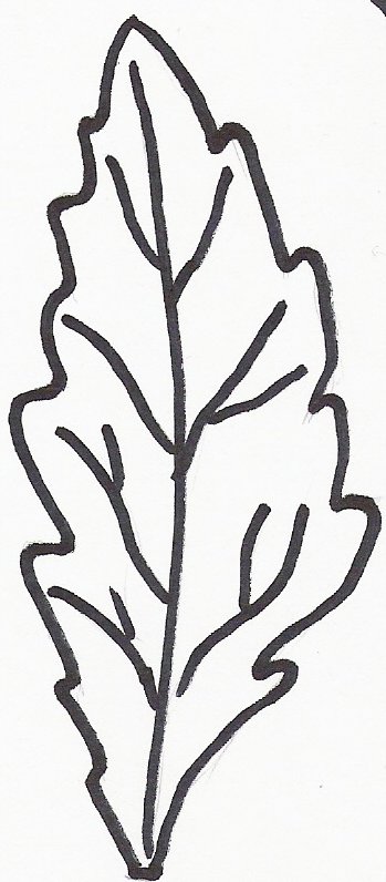 Трафарет листок цветка