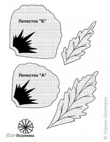 Выкройка лепестков мака
