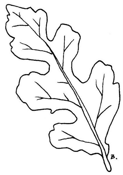 Листья трафарет для вырезания