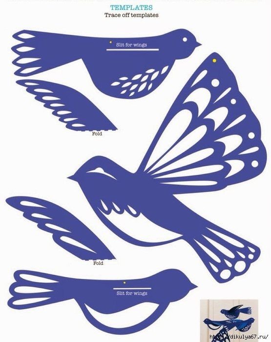 Трафарет птицы