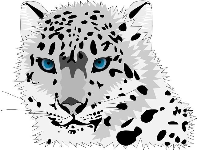 Снежный Барс леопард Snow Leopard Ирбис