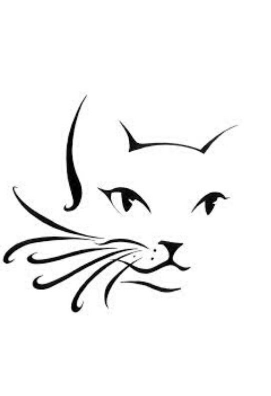 Кот тату эскиз