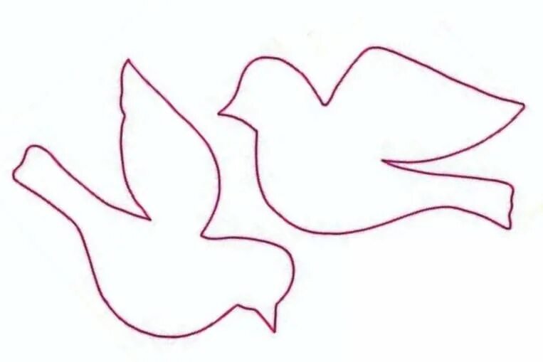 Птица контур