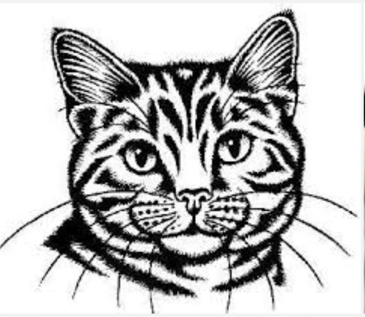 Кошка для выжигания по дереву