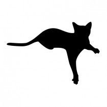 Кот лежит силуэт