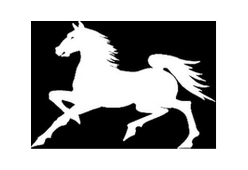Лошадь шаблон для вырезания