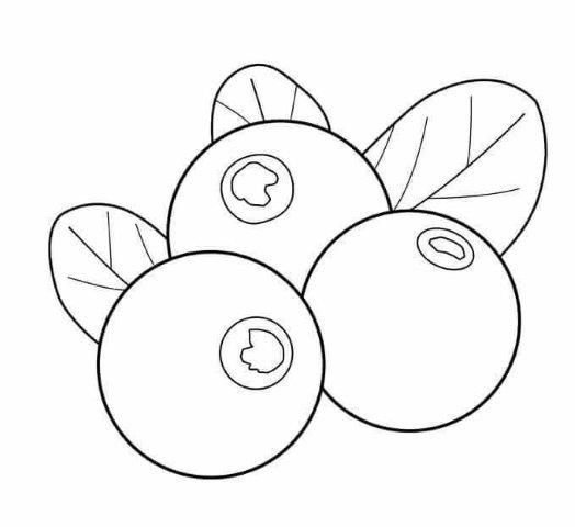 Черника раскраска