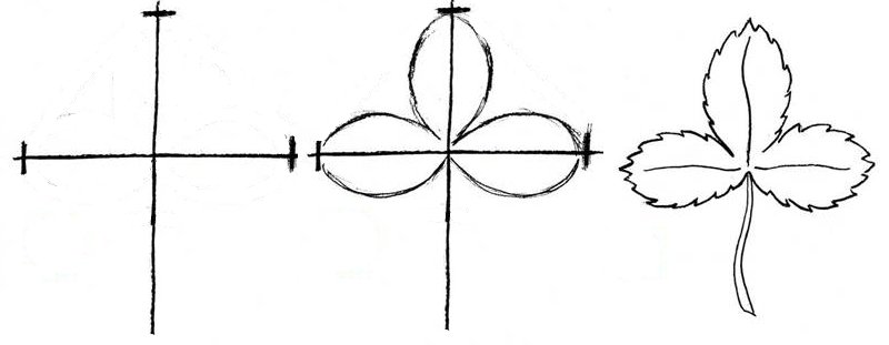 Лист земляники нарисовать