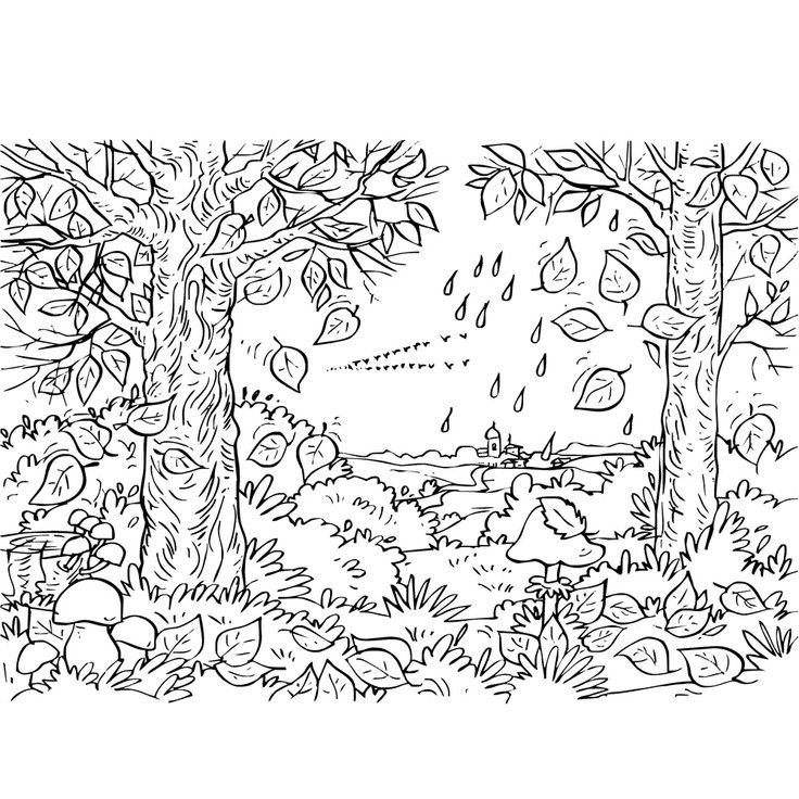 Осенний лес раскраска для детей