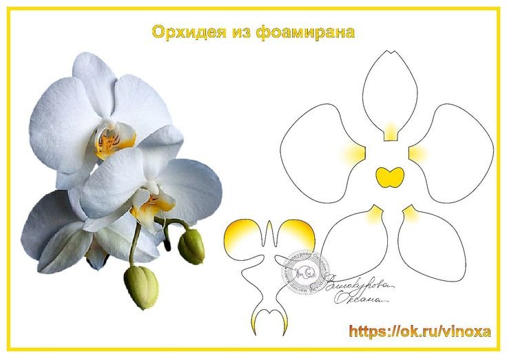 24 Фоамиран orchidea | орхидея, цветы своими руками, орхидеи