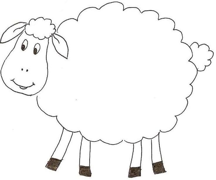 Раскраска барашек для детей