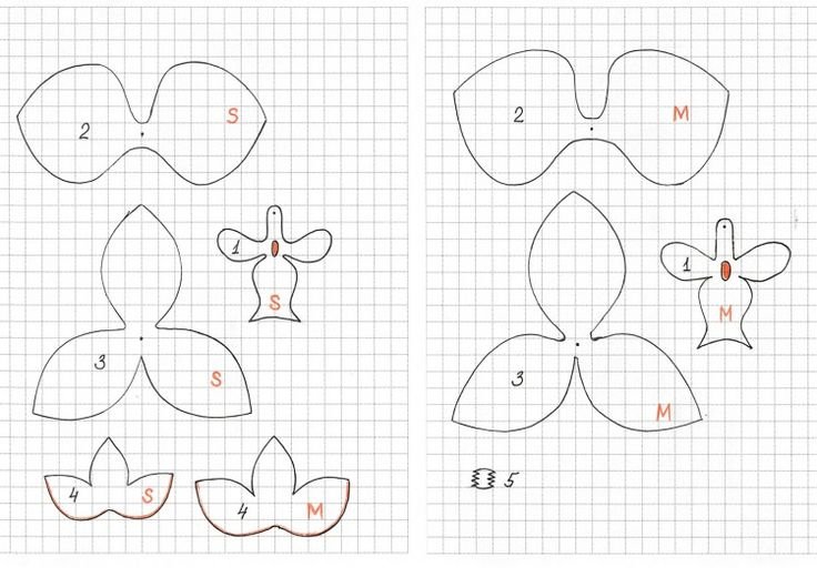 Орхидея фаленопсис из фоамирана шаблоны