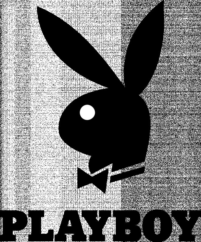Заяц плейбой