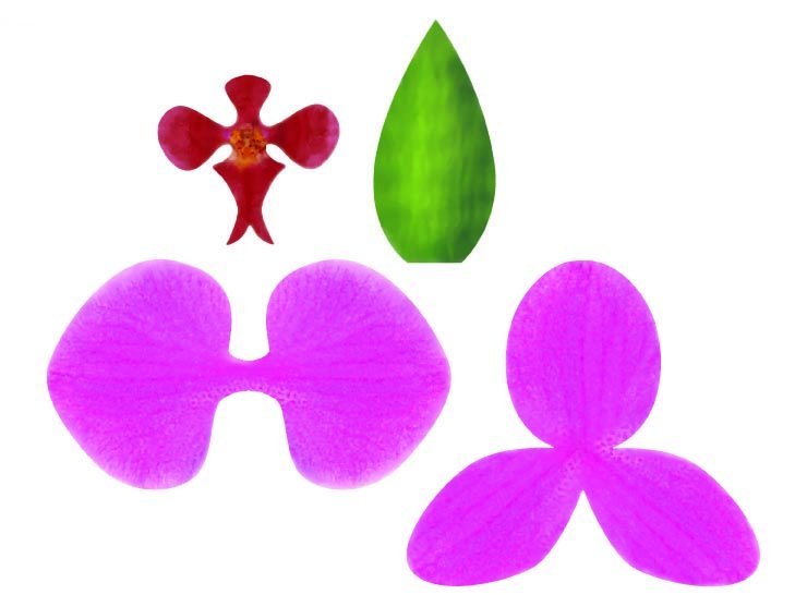 Цветок орхидеи из бумаги