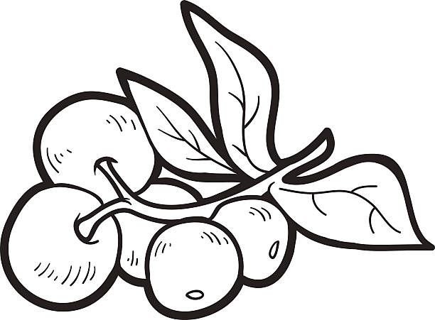 Клюква раскраска для детей