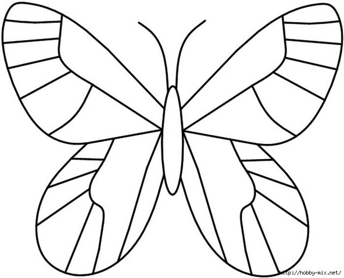Бабочка рисунок