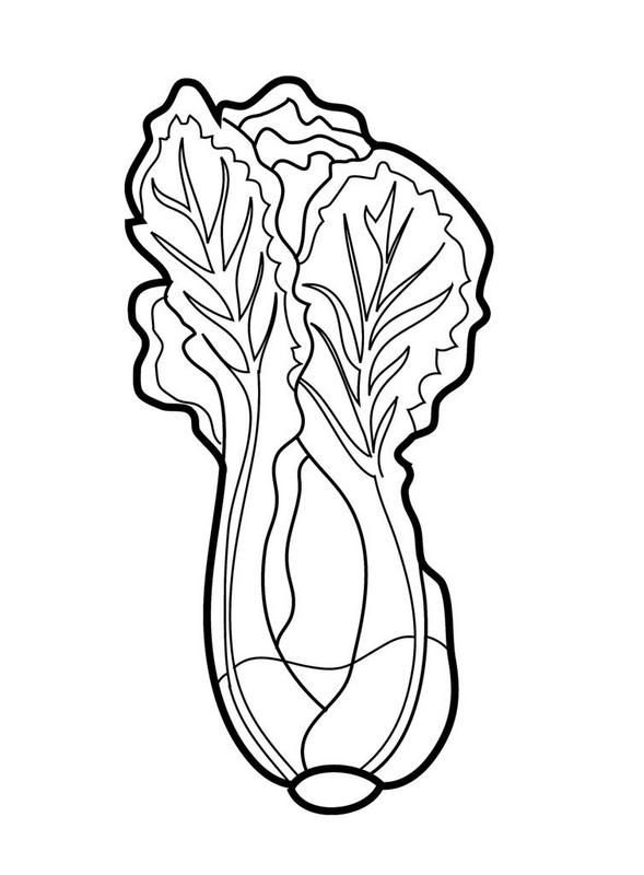 Салат раскраска