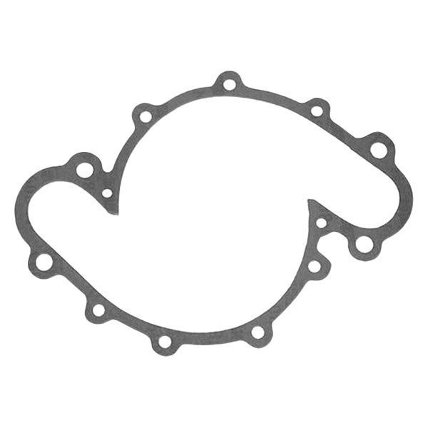 Pump Gasket
