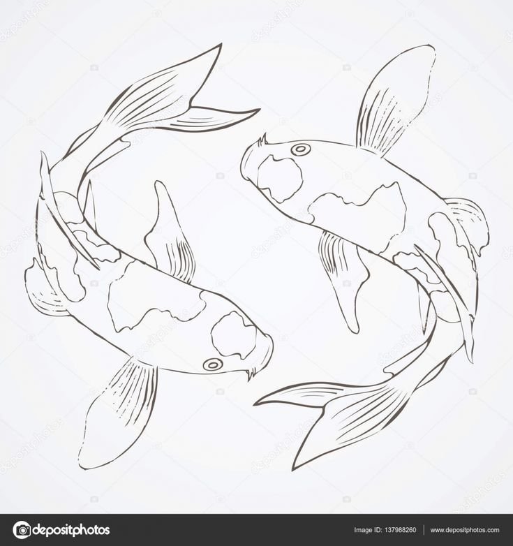 Рисунок рыбы для срисовки