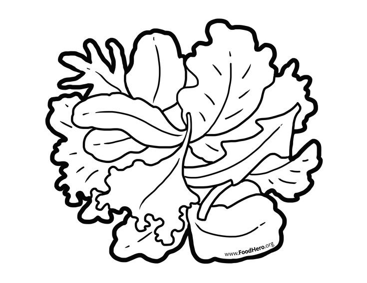Лист салата раскраска