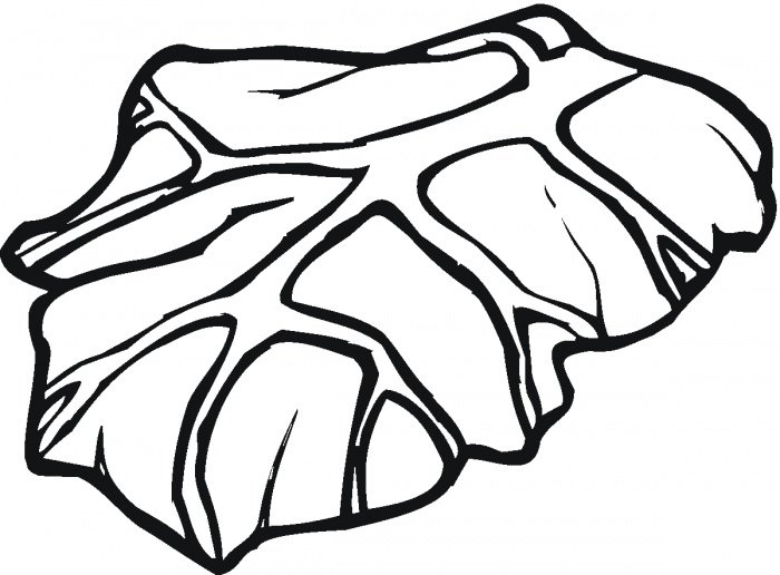 Лист капусты раскраска