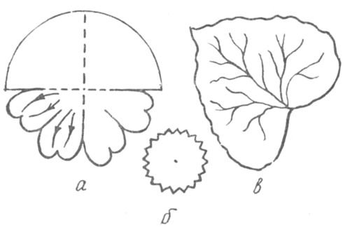 Шаблоны листьев цветов
