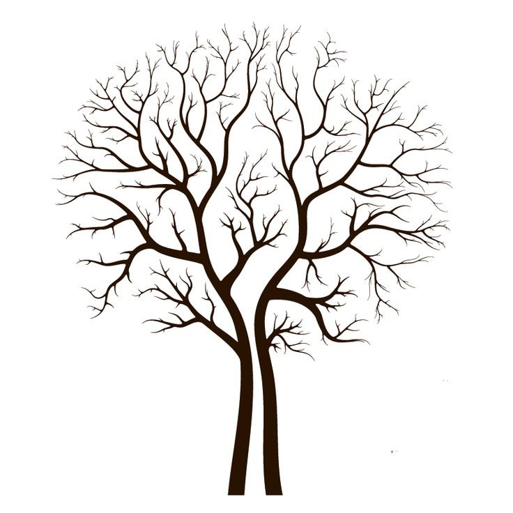 Дерево рисунок