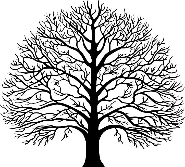 Силуэт дерева