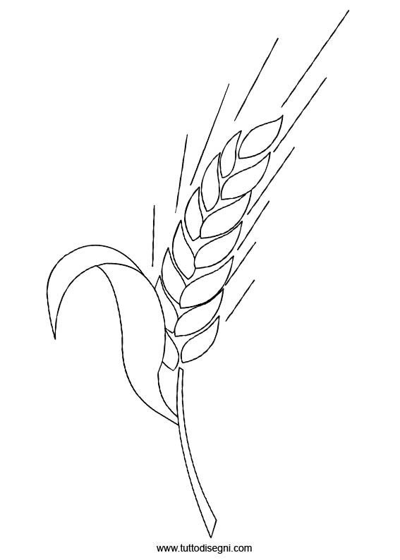 Колосок раскраска