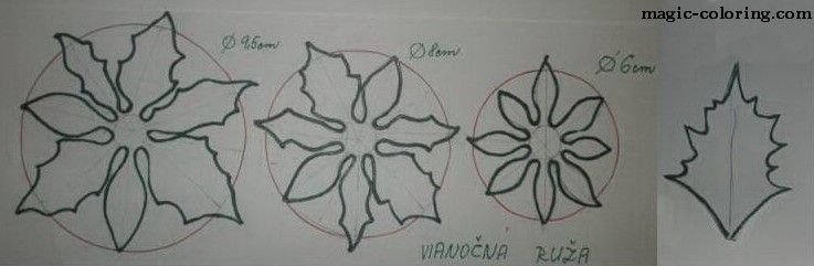 Пуансеттия схема цветка