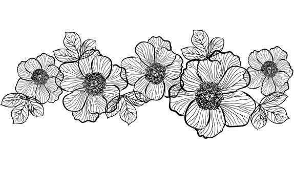 Цветочный узор линия