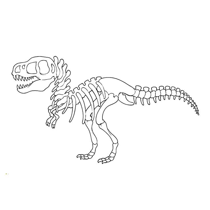 Скелет динозавра рисунок