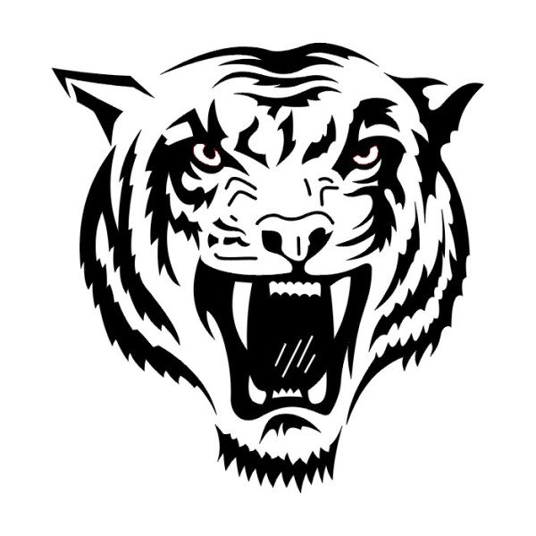 Оскал тигра реализм