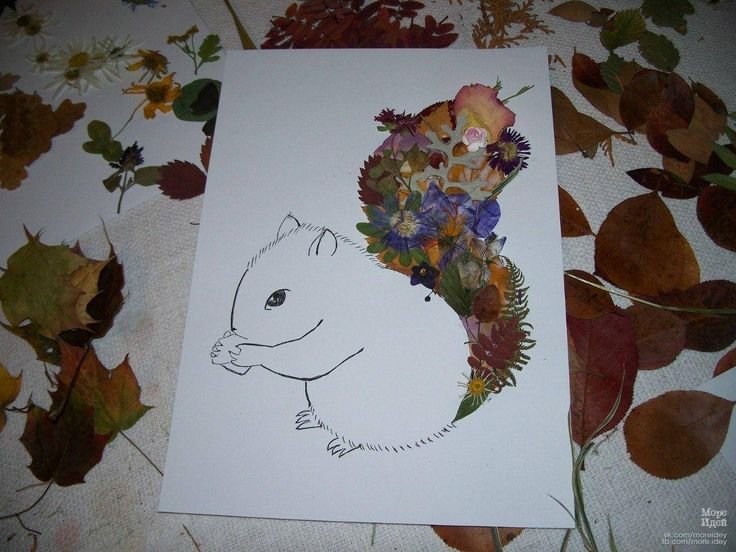 Гербарий из осенних листьев