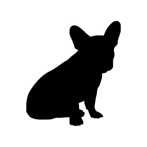 Французский бульдог