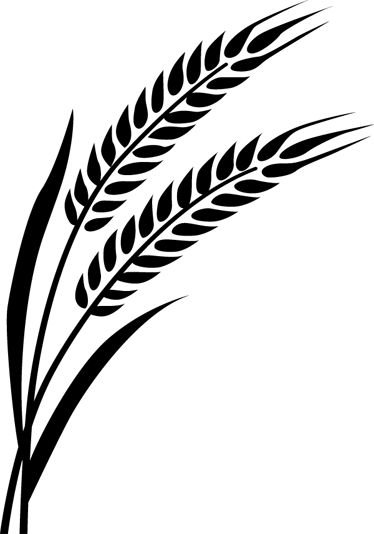 Пшеница силуэт