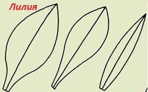 Лекала лепестков лилии