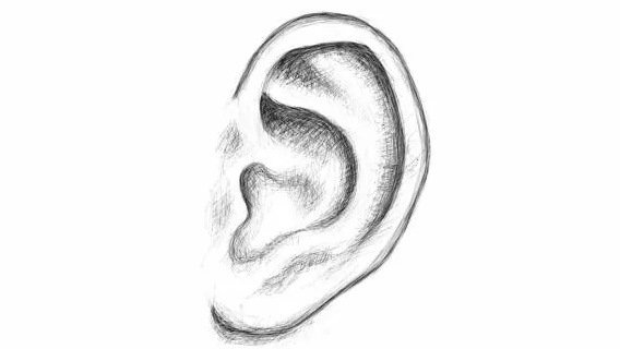 Ухо раскраска