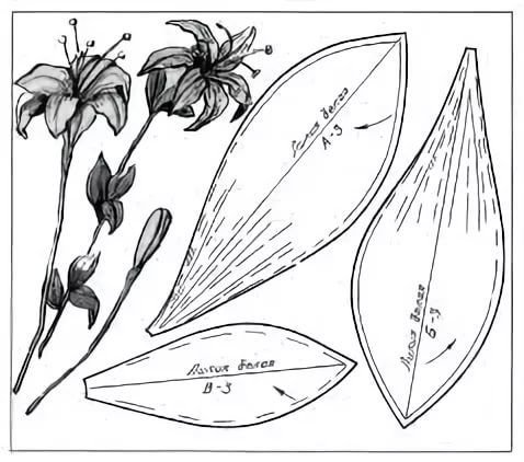 Выкройка лепестков лилии