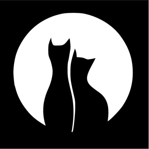 Шаблон кошки на Луне