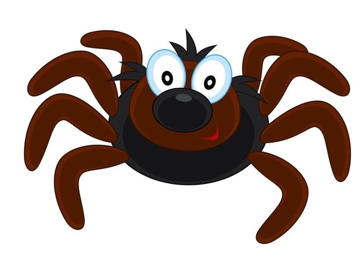 Паучок мультяшный