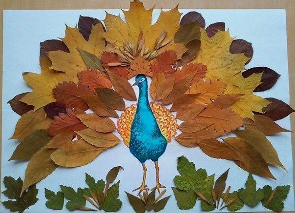 Поделка Павлин из листьев