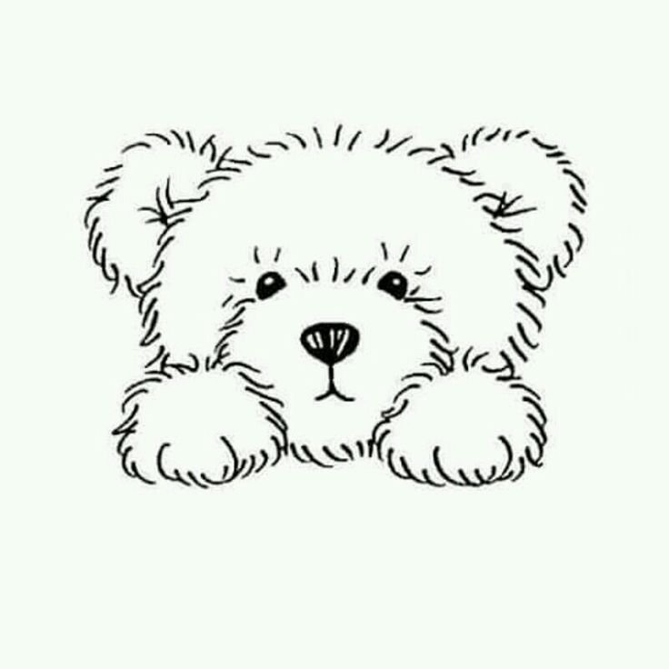 Раскраска. Медвежонок