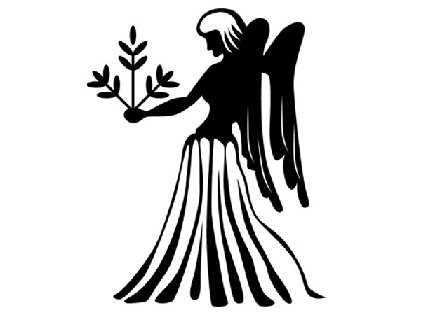 Дева символ