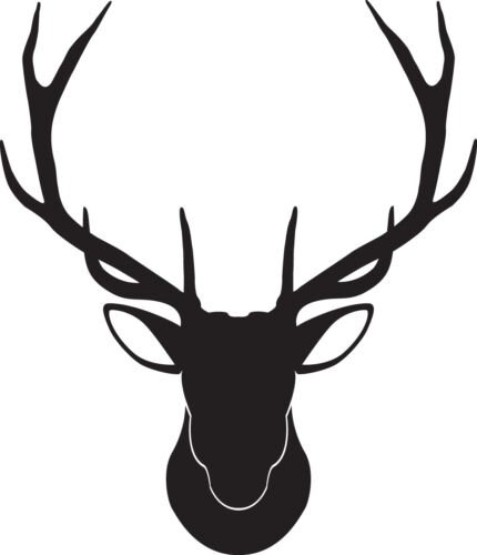 Очертание оленя