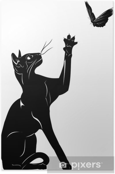 Изящный силуэт кошки